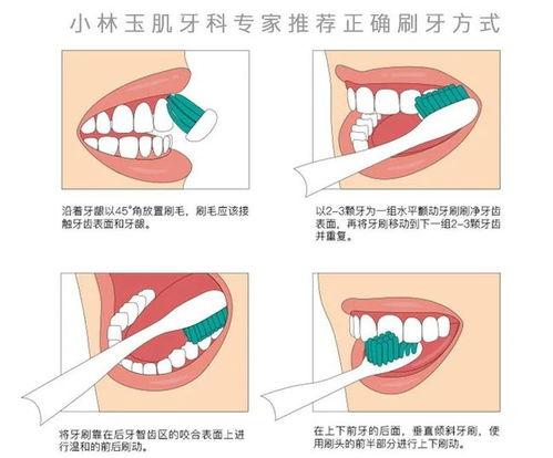 成人水晶牙刷怎么用视频,轻松掌握清洁新体验