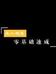 钢琴成人儿歌教学视频,轻松学儿歌，快乐成长之旅